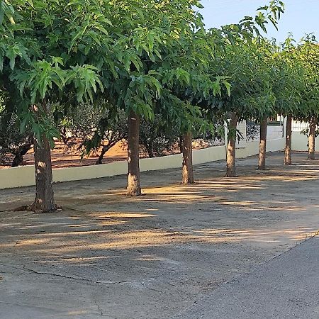 Agios Georgios  Hotel Takis מראה חיצוני תמונה